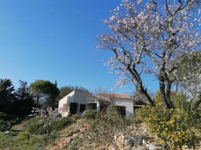 Les romarins